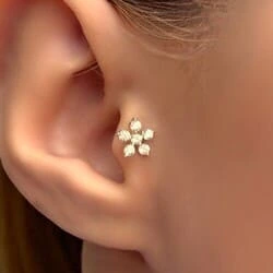 Tragus
