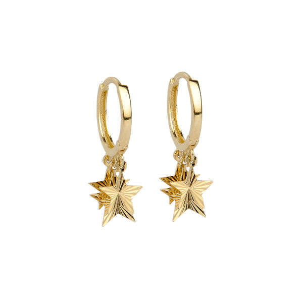 Yıldız Pullu Altın Küpe 14KP1825